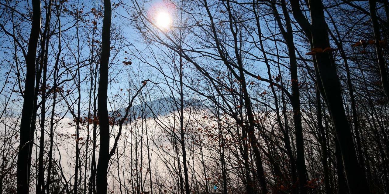 Zimmervermietung Stocker Waidhofen an der Ybbs Exterior foto